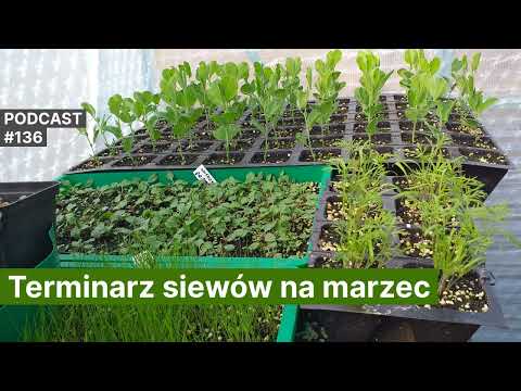 Wideo: Jakie są cechy różnorodności i jak należy ją szanować?