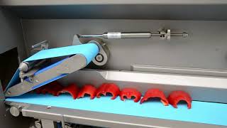GS10-2 - BELL PEPPER SLICING