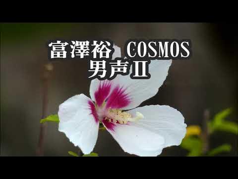 宮澤裕 COSMOS(コスモス)(混声3部) 男声Ⅱ 「ニューコーラスフレンズ」より YouTube
