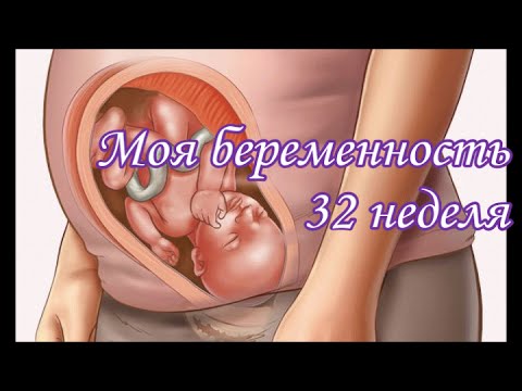 32 Неделя Беременности Фото