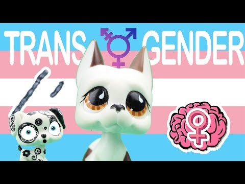 Video: Ein Trans * Guide Für Ihre Sicherheit Auf Reisen