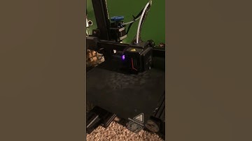 3d print flexi Rex fidget