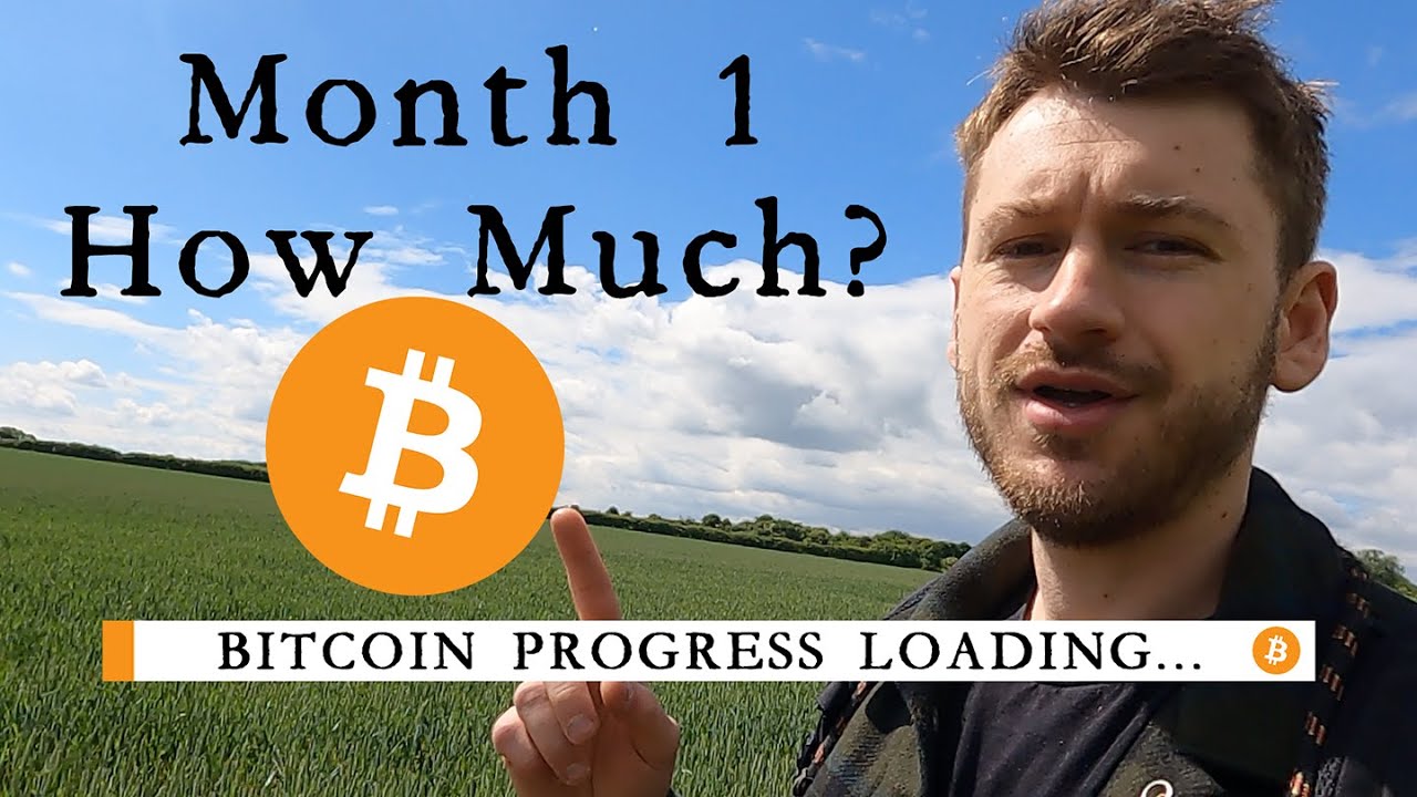 The Road To One Bitcoin - Month 1 Update