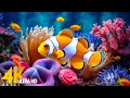 Aquarium 4K VIDEO (ULTRA HD) 🐠 Beautiful Coral Reef Fish - Relaxing Sleep Meditation Music #12