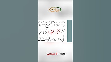 القراءة الصحيحة مع القارئ مازن الخالدي ـ مفردة لا يستحيي