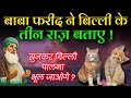 Islamic Secrets About Cats | Can a Cat Bring Wealth & Barakah? | Baba Farid’s (Rh) Golden Words