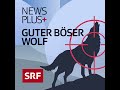 Guter Böser Wolf (4/4): Das Rotkäppchen-Trauma