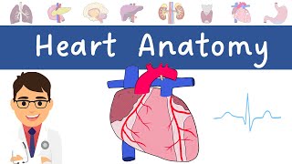 Heart Anatomy | MADE EASY!