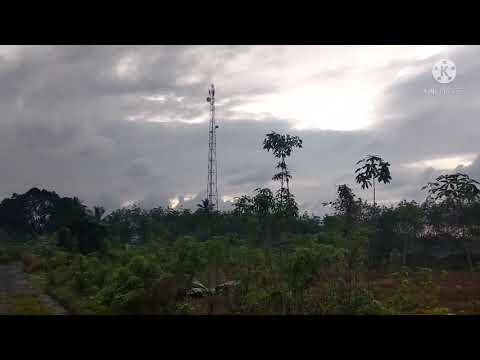 Pagi Mendung.... - YouTube