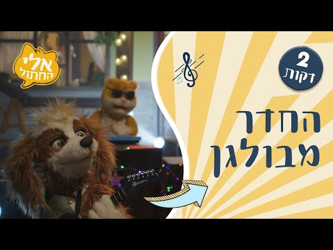 וִידֵאוֹ: מבולגן מבולגן