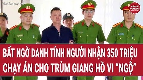 Bất ngờ danh tính người nhận 350 triệu đồng chạy án cho trùm giang hồ Vi “ngộ”