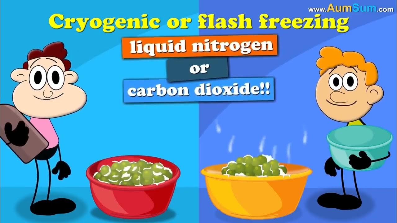 are-frozen-foods-safe-to-eat-but-i-added-the-background-music-youtube