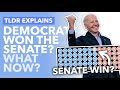 Georgia Elections: Have Democrats Snatched Control of the Senate? -  TLDR News