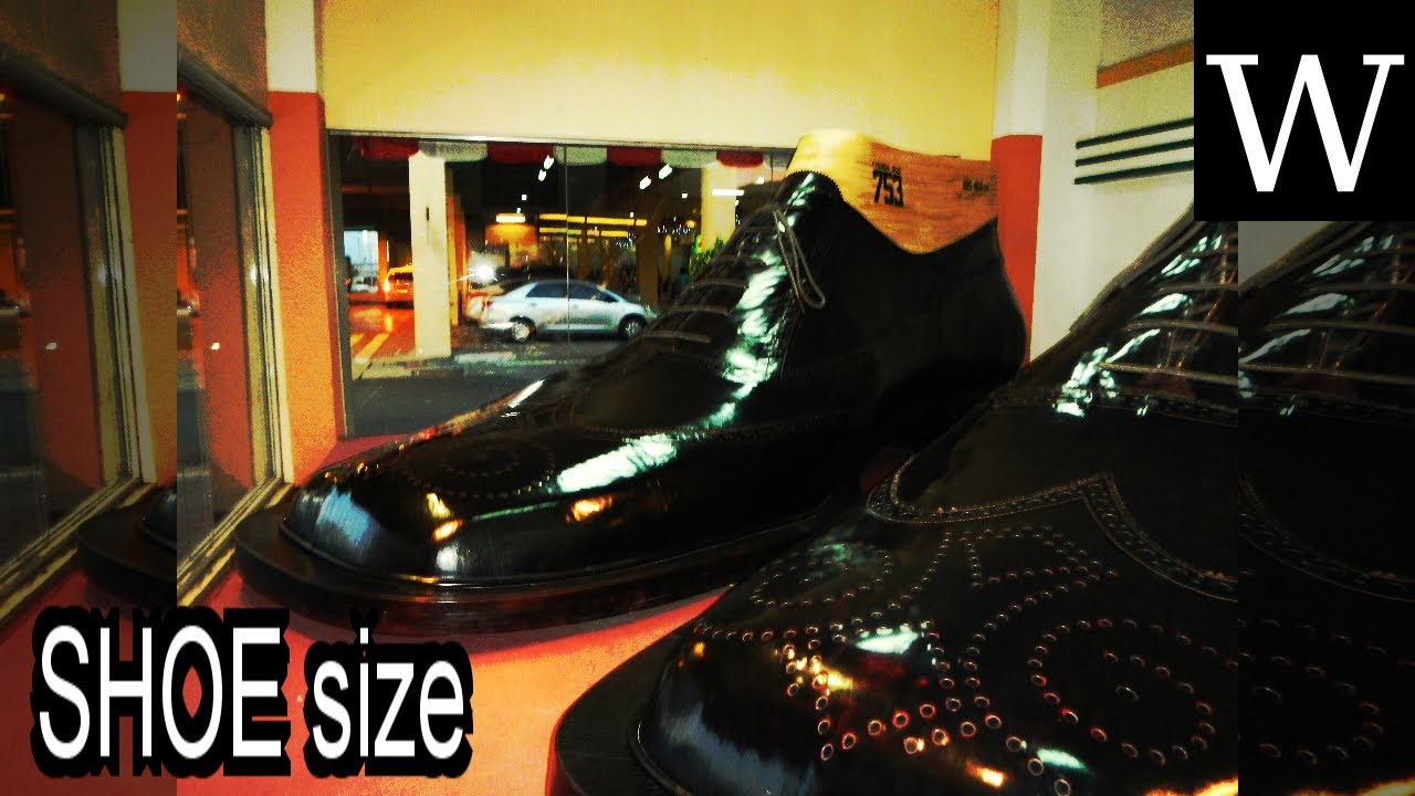 Sizes SHOE size - WikiVidi Documentary