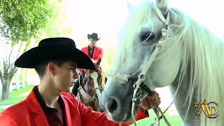 EL ANGEL DEL CORRIDO cover) corridos El PATO NADA -