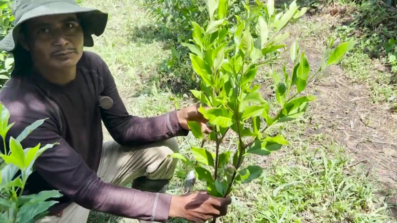 Hechos del Agro - Cultivo de flores y follaje