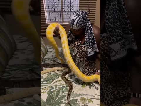 Gogo Maweni Snakes Revealed