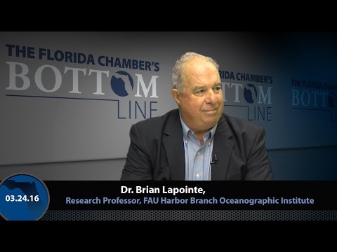 The Florida Chamber's Bottom Line - March 24, 2016