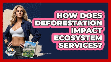 How Does Deforestation Impact Ecosystem Services? - The Geography Atlas