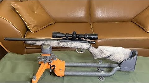 Cover Image for Savage Arms Rifle B17 FV-SR