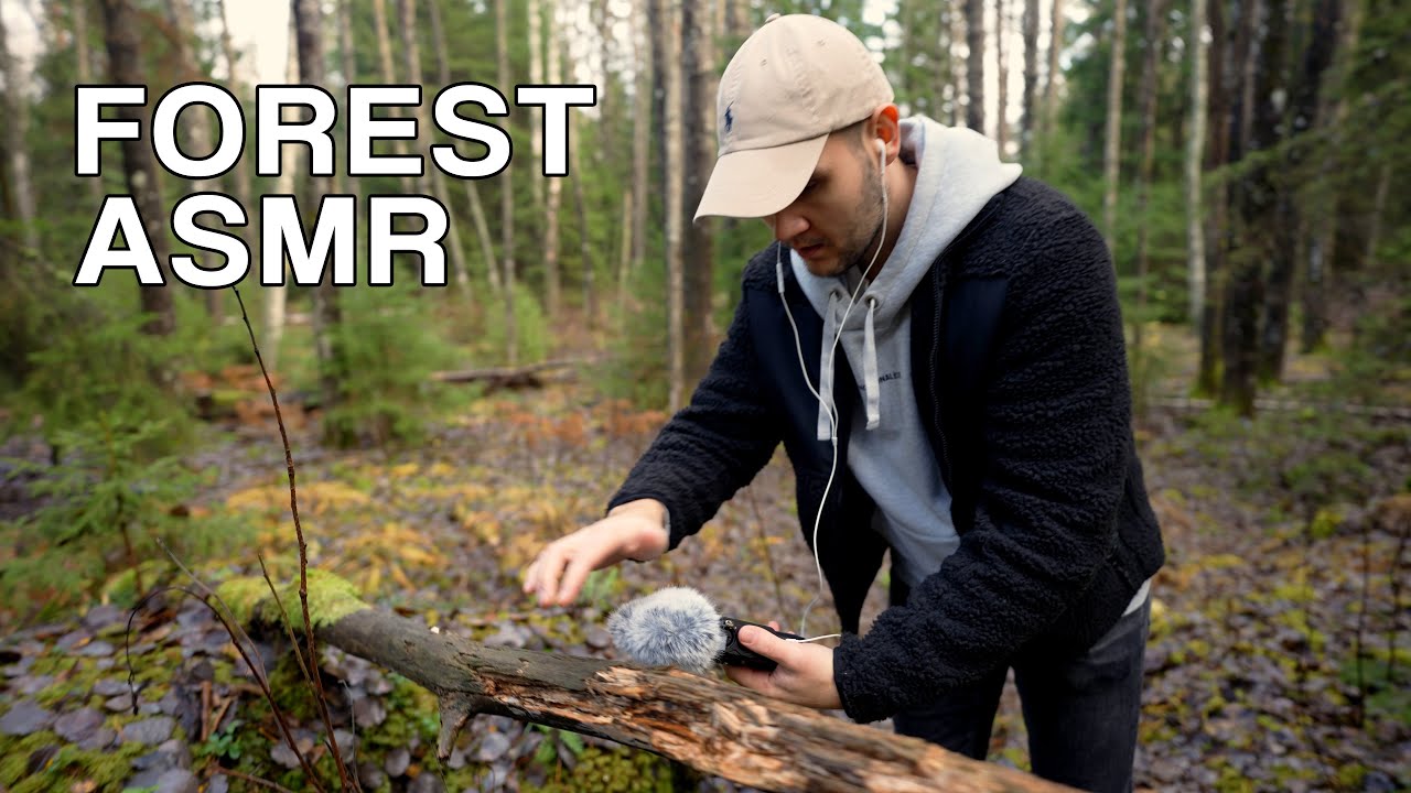 ASMR in the forest