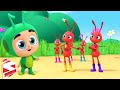 The Ants and The Grasshoppers | Storytelling For Children | Storytime For Kids with Super Supremes