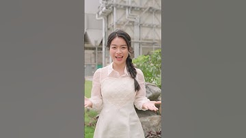 Tận dụng xi măng trong thú vui cây cảnh - Tại sao không? | PHẦN 1 #ximangxuanthanh #ximangso1vn