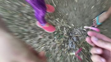 Zhiyun smooth Q, my best gimbal for my iphone7plus, soon video with a GoPro hero5