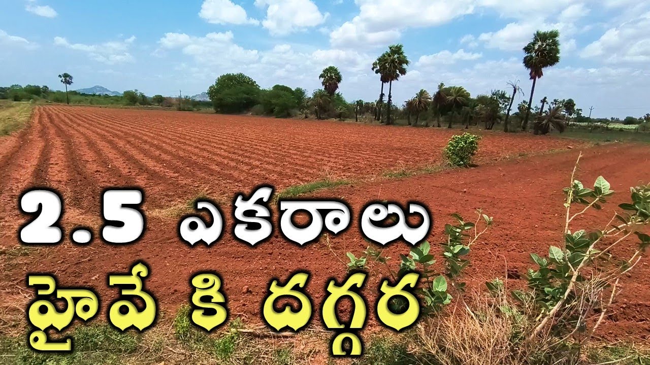 2.5 ఎకరాలు ఎర్ర మట్టి పొలం హైవే కి దగ్గర Agriculture Lands for Sale in Telangana