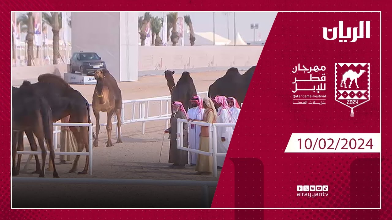 مهرجان قطر للإبل 10-02-2024 جزيلات العطا