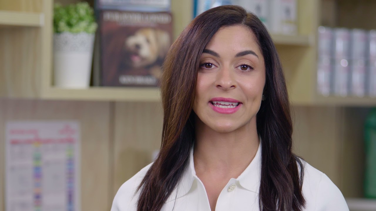 LIFESTAGE VIDEO - Adult Pets