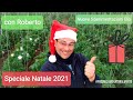 Nuove Sperimentazioni Bio con Roberto | Speciale Natalizio