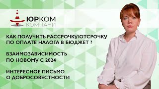 Как получить рассрочку/отсрочку по оплате налога в бюджет? Взаимозависимость по новому с 2024