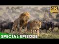 Savage Kingdom: Africa's Ultimate Battle for Survival  | Nature Animal Documentary