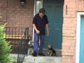 Alpha Paws - Dog Obedience Training Video Guide Alpha Paws - Dog Obedience Training Video Guide