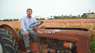 Carlsbad Flower Fields Virtual Tour with Paul Ecke III