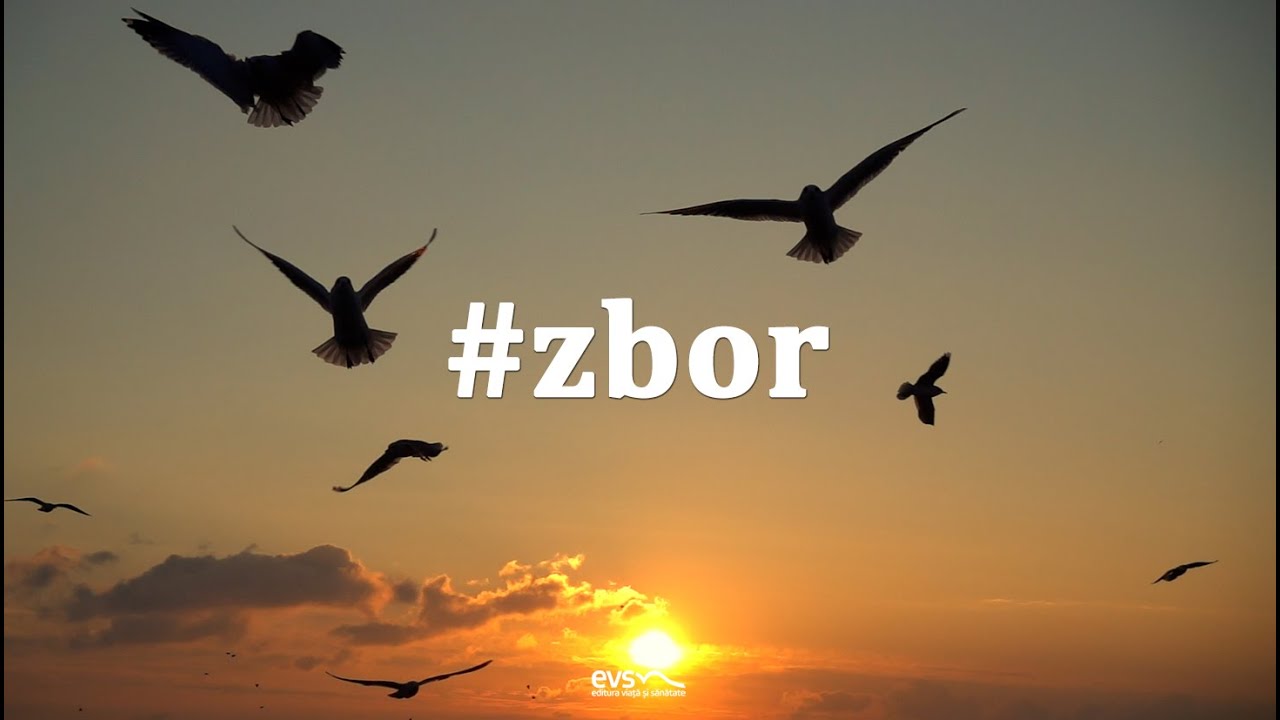 Zbor
