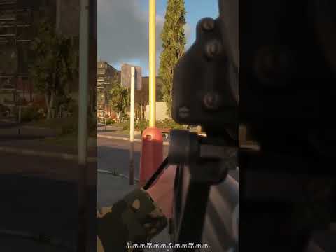 Professional Soldier BTW