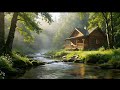 Relaxing Forest Cabin by the Stream | Calm Water Sounds Ambience