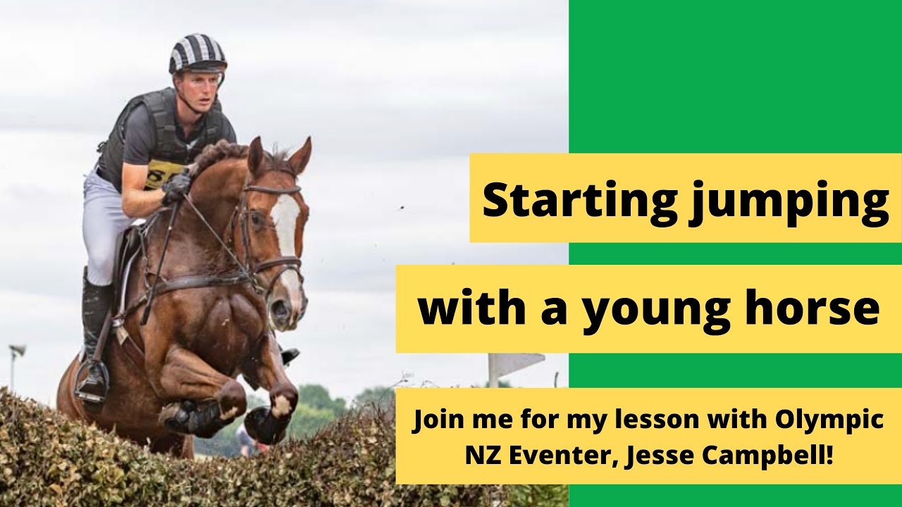 Young Horse Jumping Lesson with Olympic NZ Eventer, Jesse Campbell