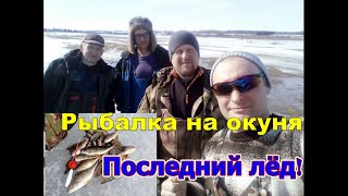 Рыбалка на окуня\последний лёд\отличный клёв! Рыбалка в Удмуртии