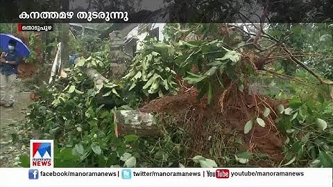 ഇടുക്കിയില്‍ നാശം വിതച്ച് കനത്ത മഴ; മരങ്ങള്‍ കടപുഴകി; വീടുകള്‍ തകര്‍ന്നു  | Idukki rain