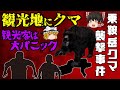 【ゆっくり解説】観光地にクマが現れ地獄絵図　乗鞍岳クマ襲撃事件