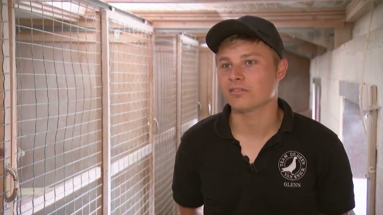 De Belgische Reisduif: Nieuw Talent Glenn De Deyn