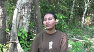 Sumba Foundation 2010