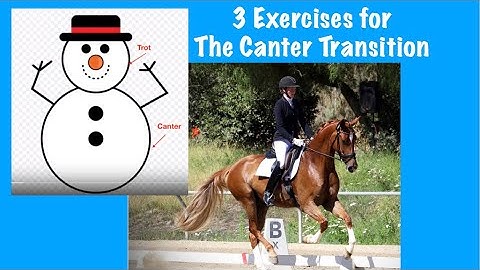3 Exercises to Improve the Canter Transition