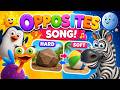 Opposites Song for Kids | Hard and Soft 🪨🎈 | Learning Opposites for Toddlers