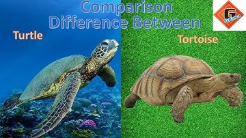 Gohar Science Book 2, Chapter 1, Lecture 4