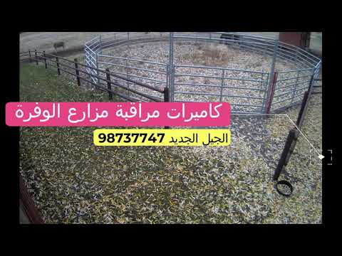 كاميرات مراقبة مزارع الوفرة 98737747 فني كاميرات مراقبه الكويت
