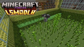 La Era Del Bambú Da Comienzo - Lsmadlh Forever - Episodio 17